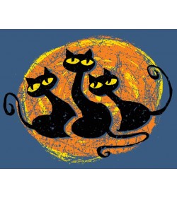 Cats of Greece – New kids’...