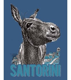 Santorini – Donkey of Greece