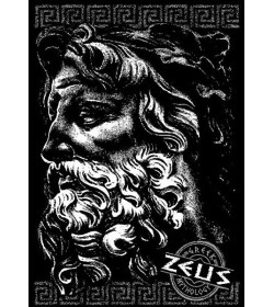 Zeus  - unisex t-shirt