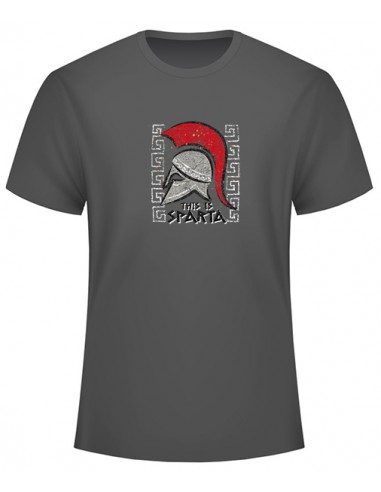 This is Sparta – New Design