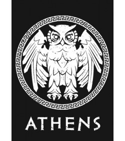 Owl - Women's T-shirts