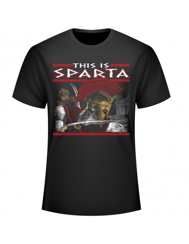 This is Sparta – New Design